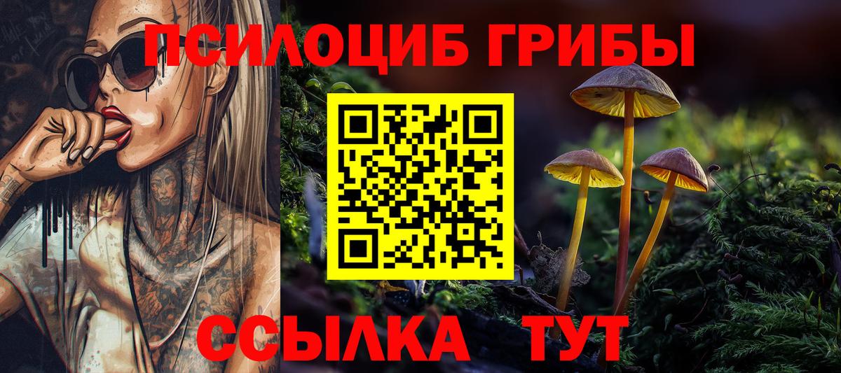 Псилоцибиновые грибы GOLDEN TEACHER Горно-Алтайск